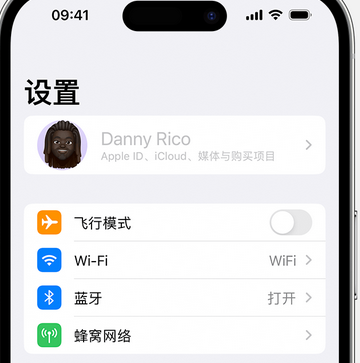 垫江appleID维修服务iPhone设置中Apple ID显示为灰色无法使用 