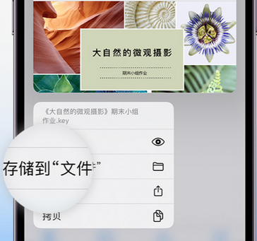 垫江apple维修中心分享iPhone文件应用中存储和找到下载文件