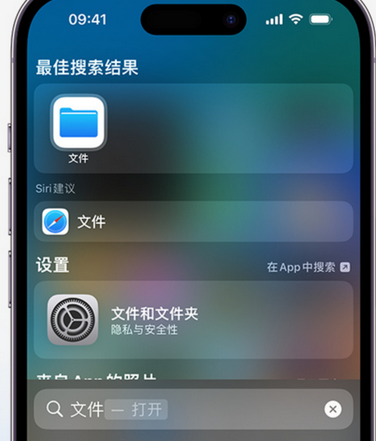 垫江apple维修中心分享iPhone文件应用中存储和找到下载文件 