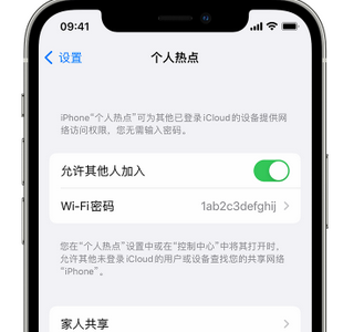 垫江apple服务站点分享iPhone上个人热点丢失了怎么办 