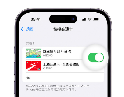 垫江apple维修点分享iPhone上更换Apple Pay快捷交通卡手绘卡面 