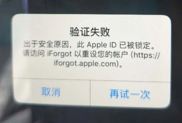 垫江iPhone维修分享iPhone上正常登录或使用AppleID怎么办 