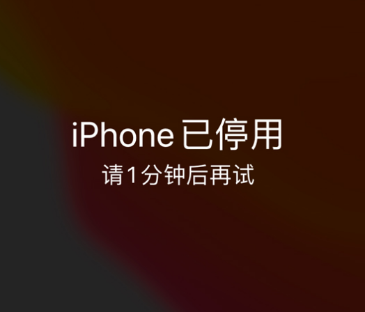 垫江苹果手机维修分享:iPhone 显示“不可用”或“已停用”怎么办？还能保留数据吗？ 