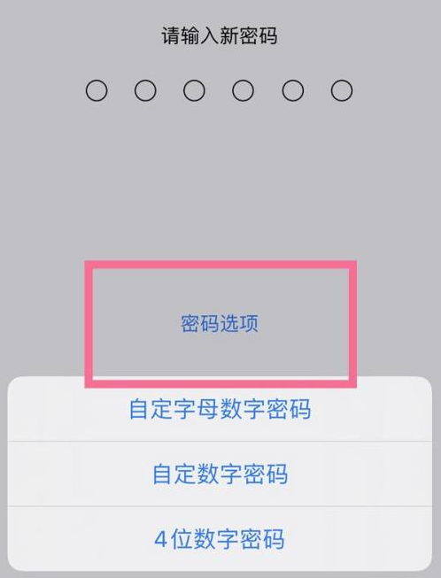 垫江苹果14维修分享iPhone 14plus设置密码的方法 