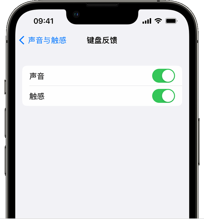 垫江苹果14维修分享iPhone 14 系列机型如何开启键盘声音或触感反馈 