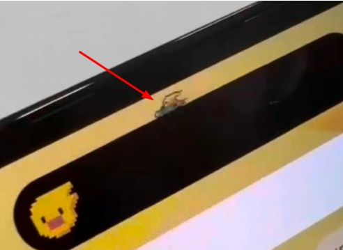 垫江苹果14维修分享iPhone 14 Pro Max灵动岛怎么养宠物 