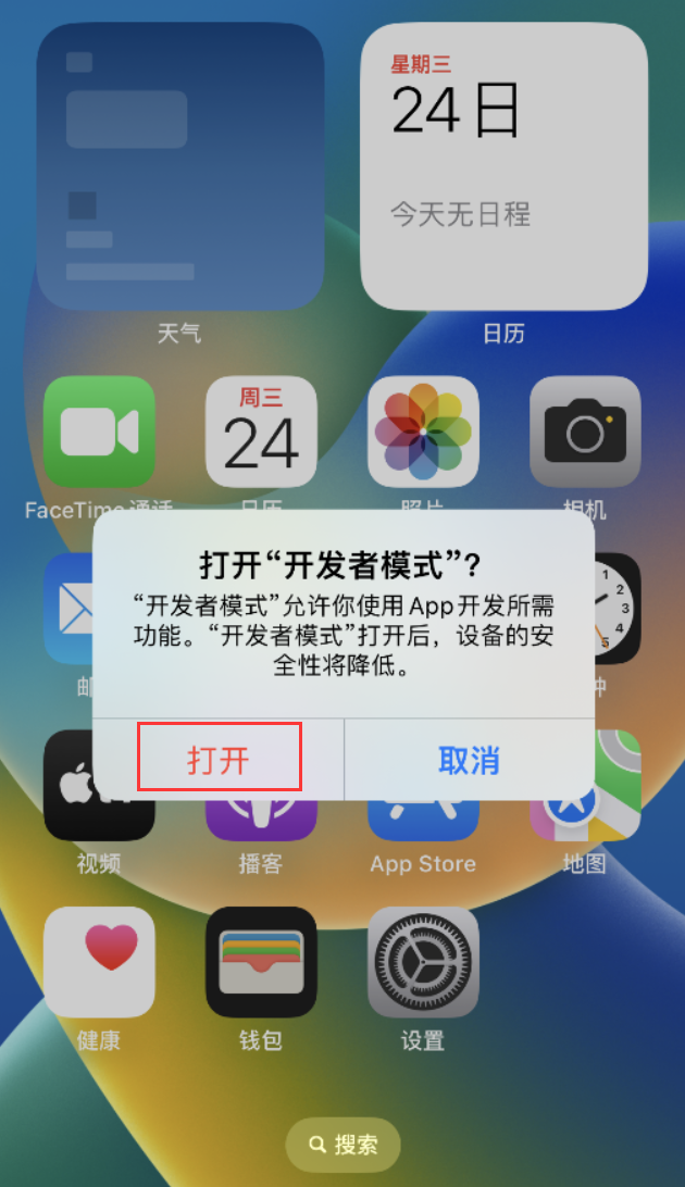 垫江苹果手机维修分享如何打开开发者模式 