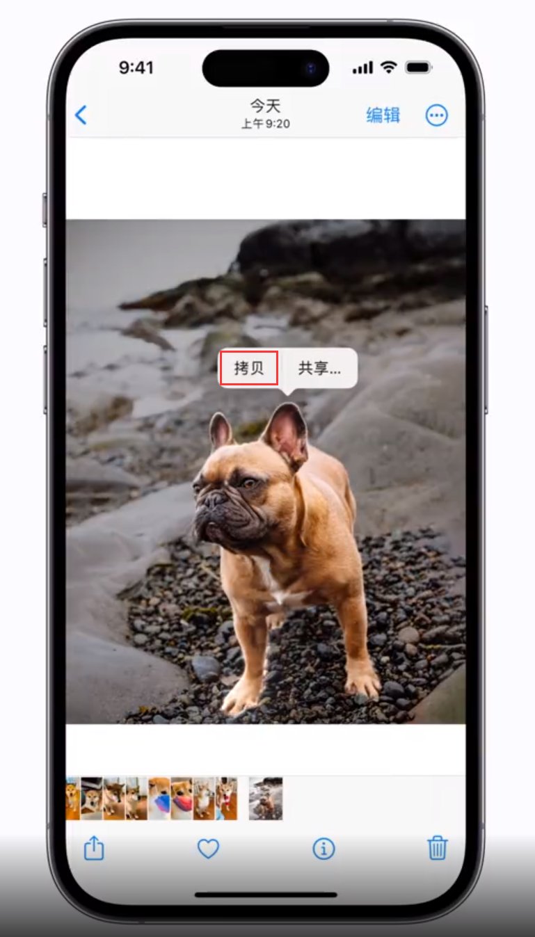 垫江苹果手机维修分享 iOS 16 自带一键抠图功能 