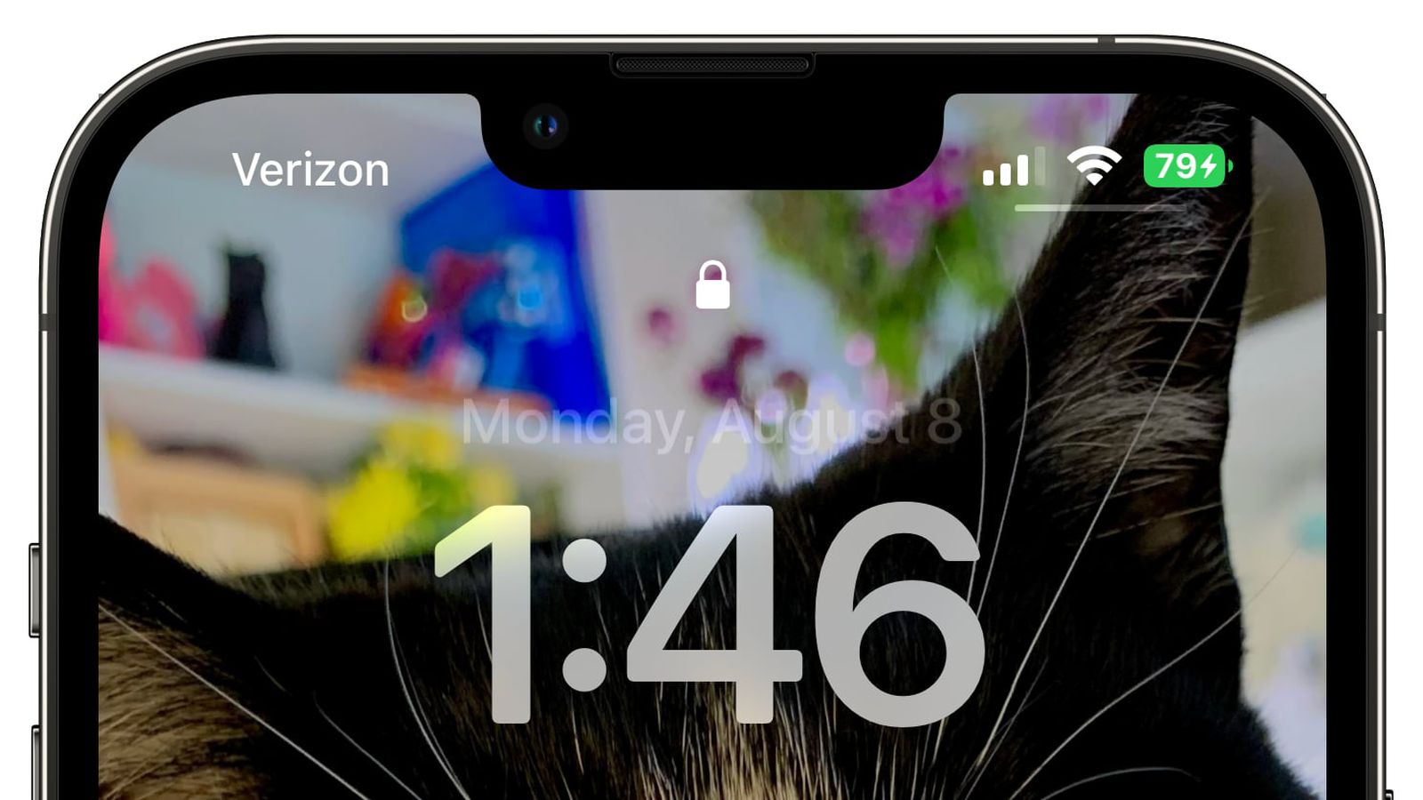 垫江苹果手机维修分享iOS 16 beta 5 支持状态栏显示电池百分比，如何开启？支持哪些机型 