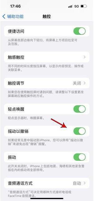 垫江苹果手机维修分享iPhone手机如何设置摇一摇删除文字 