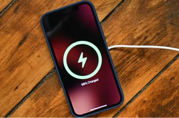 垫江苹果手机维修分享iPhone如何正确充电 