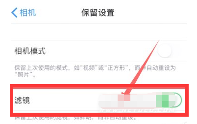 垫江苹果13维修分享iPhone13拍照有绿点是怎么回事 