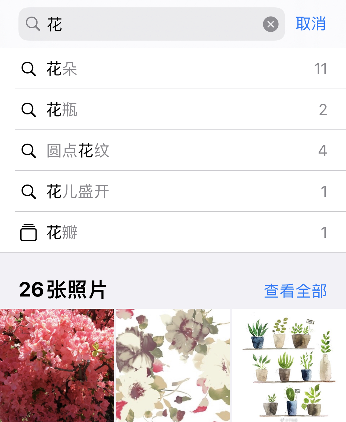 垫江苹果手机维修分享iPhone 小技巧 