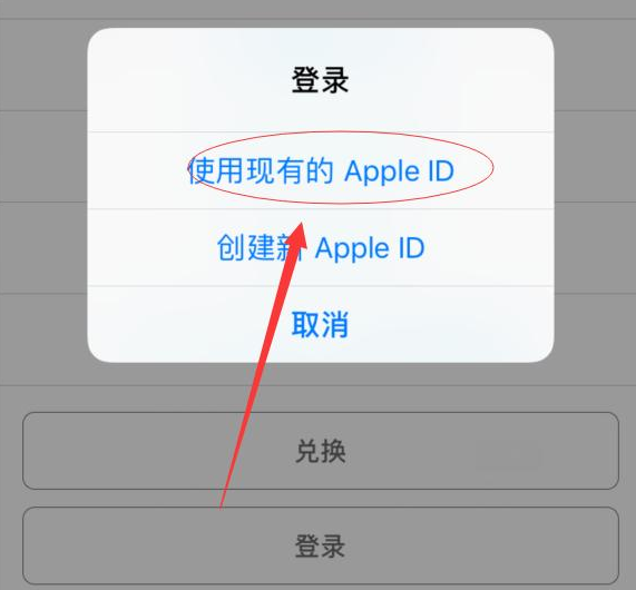 垫江苹果手机维修分享两台iPhone设备可以同时登录一个Apple ID吗 