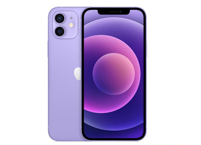 垫江苹果手机维修分享现阶段要不要入手紫色版iPhone12 