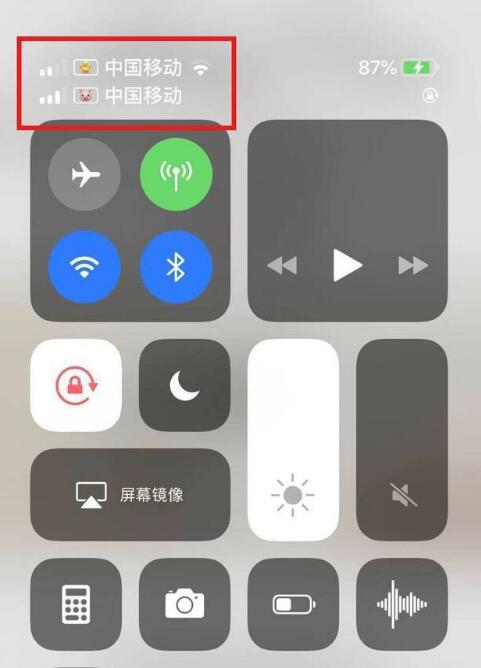 垫江苹果手机维修分享为 iPhone 12 双卡设置标签 
