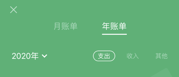 垫江苹果手机维修分享如何在 iPhone 上查看支付宝和微信年支出账单 